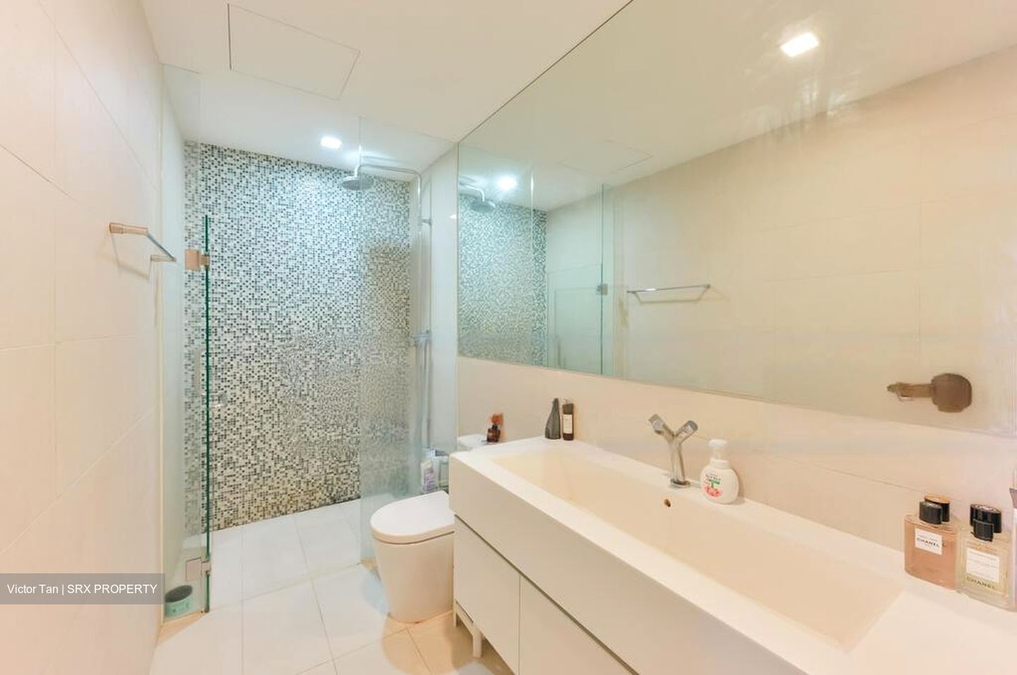 The Rochester Residences (D5), Apartment #453729431